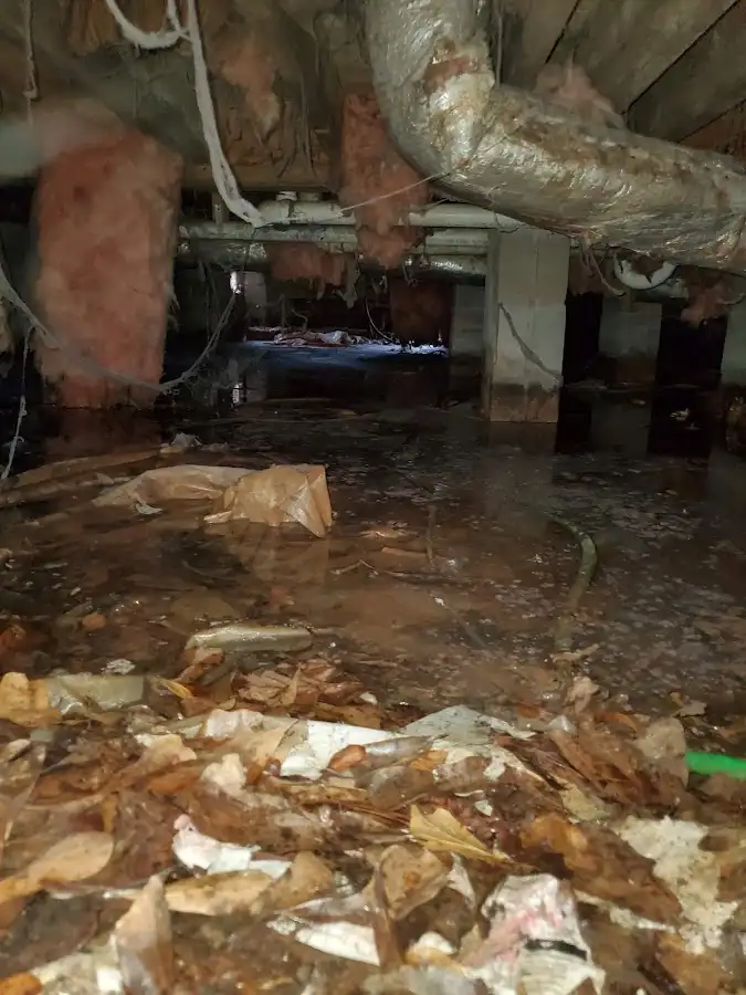 Crawl space flood assessment for Leak Detection & Repair in Everett